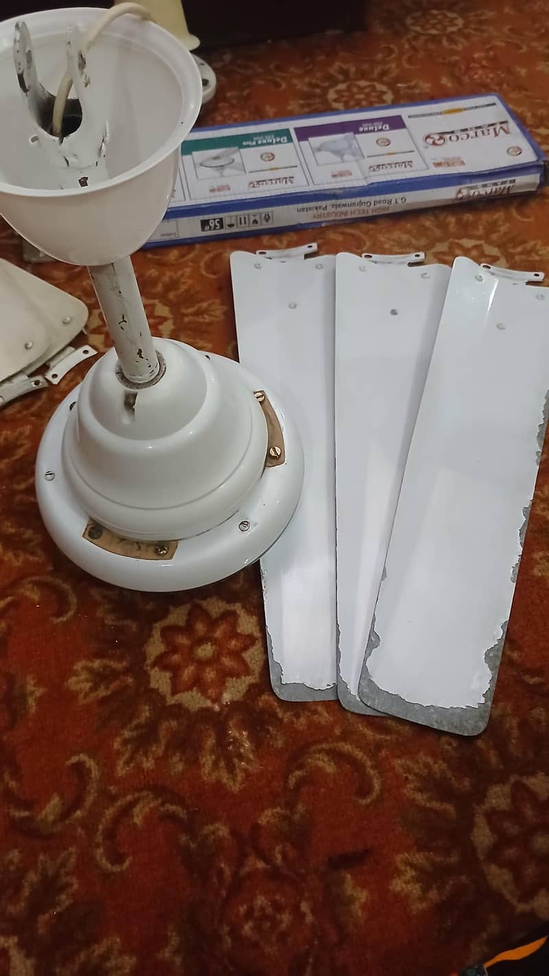 ceiling fans 3