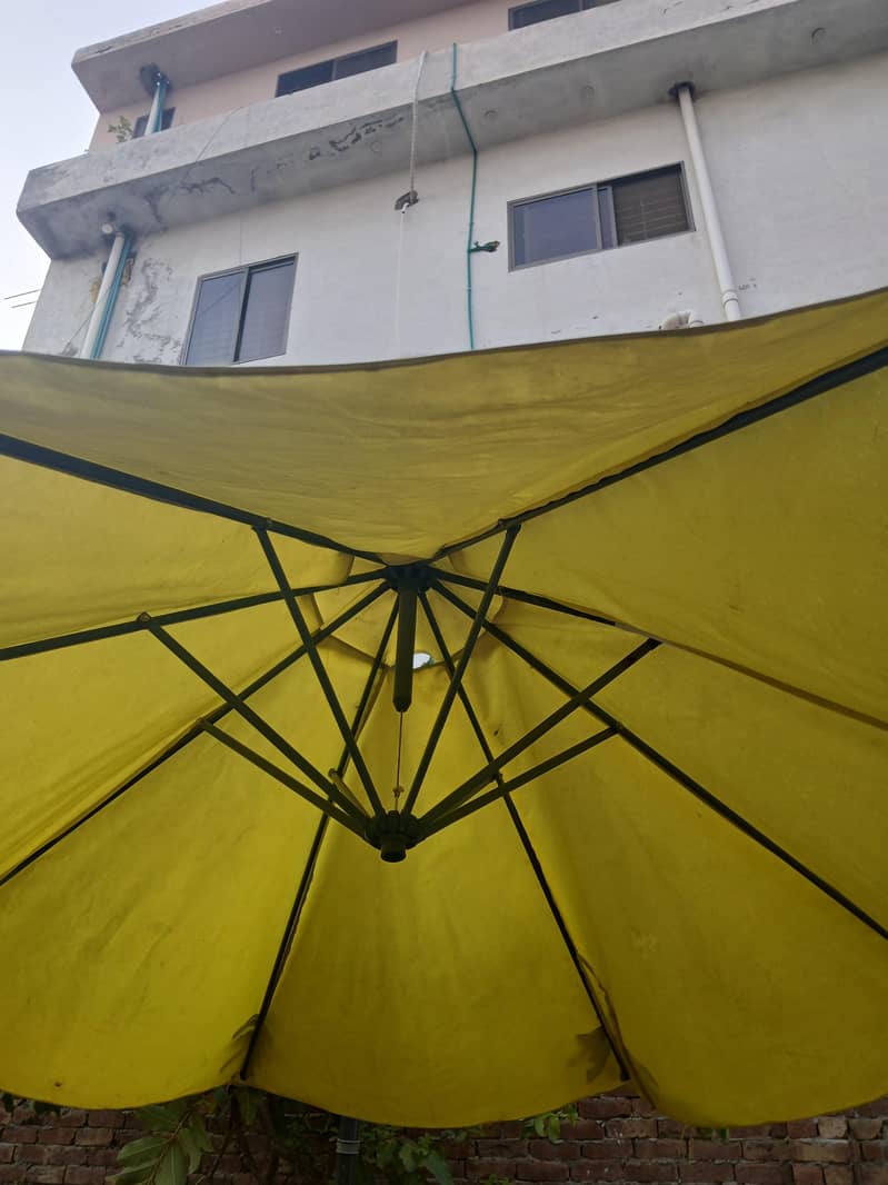 umbrella 1
