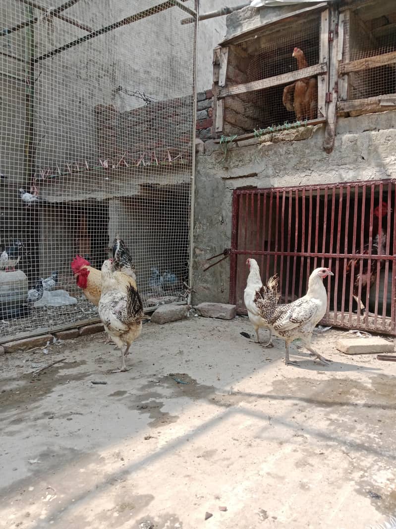 Lahore 2