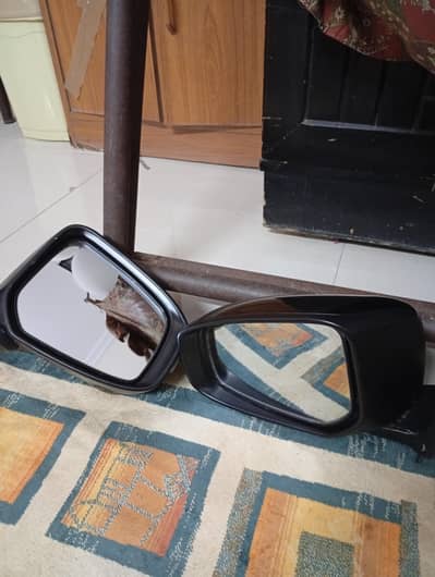 Mirror Retractable
