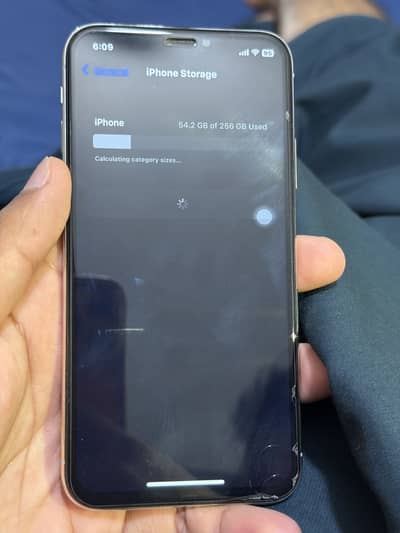 Apple iPhone X