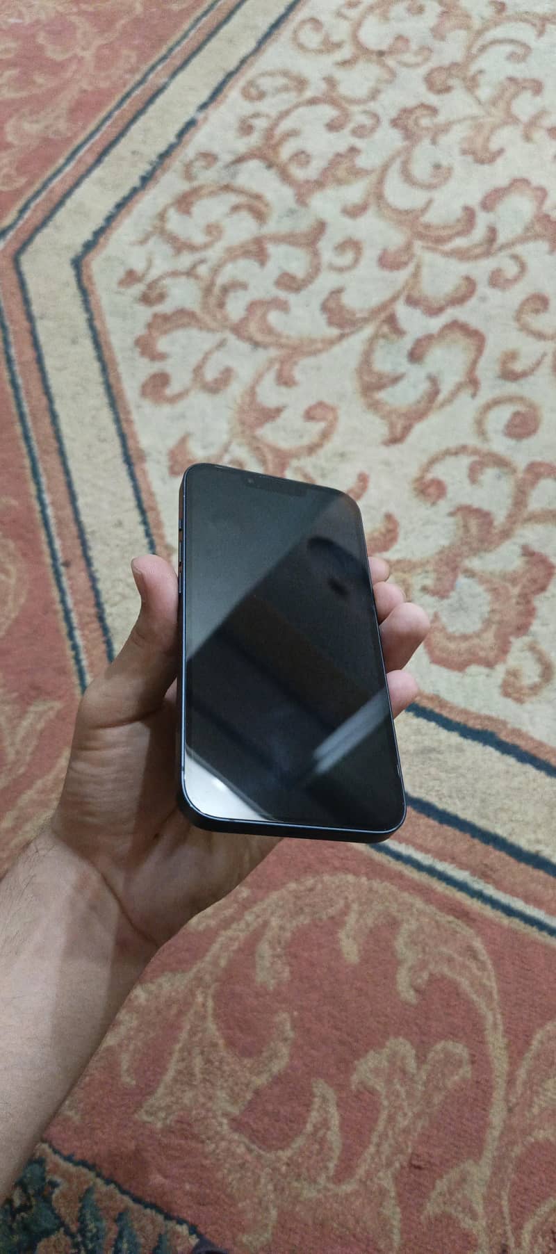 Apple iPhone 13 0
