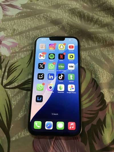 Apple iPhone 13 Pro Max