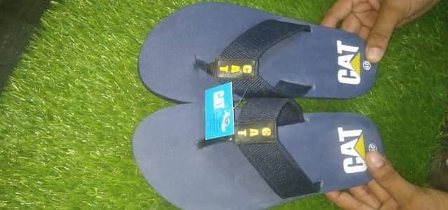 Adidas and Cat Sleepers