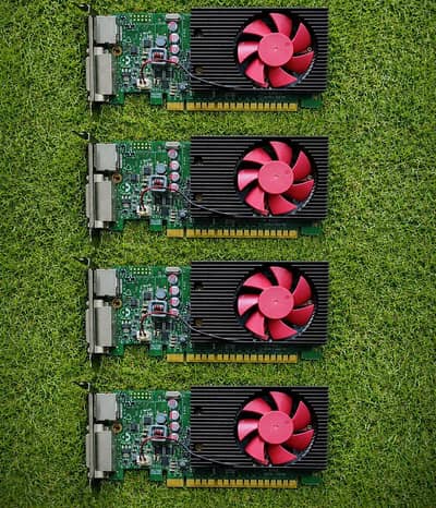NVIDIA GT 730 2GB GDDR5