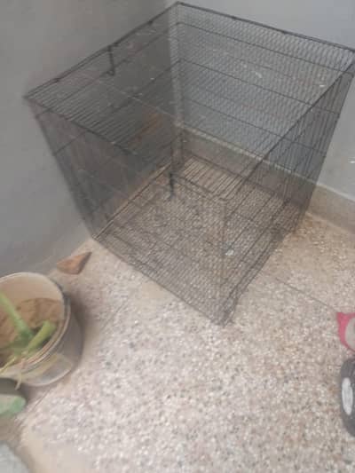 cage for saale