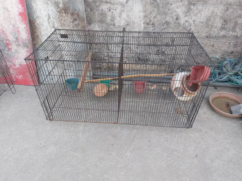 2 cages. — photo 2