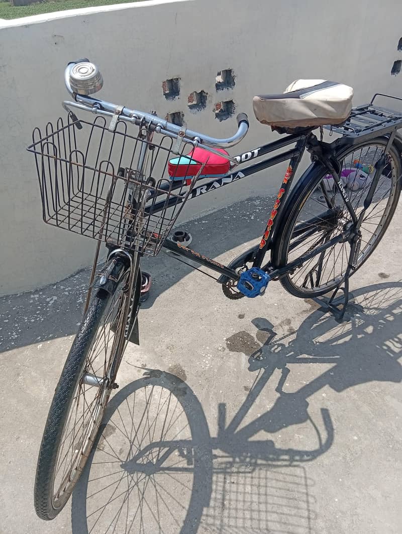 Sohrab Cycle 2