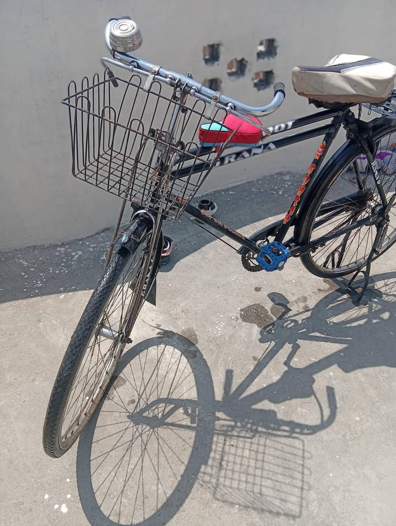Sohrab Cycle 4