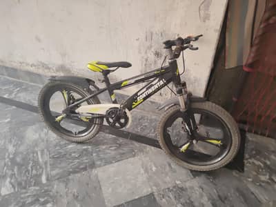 sport cycle
