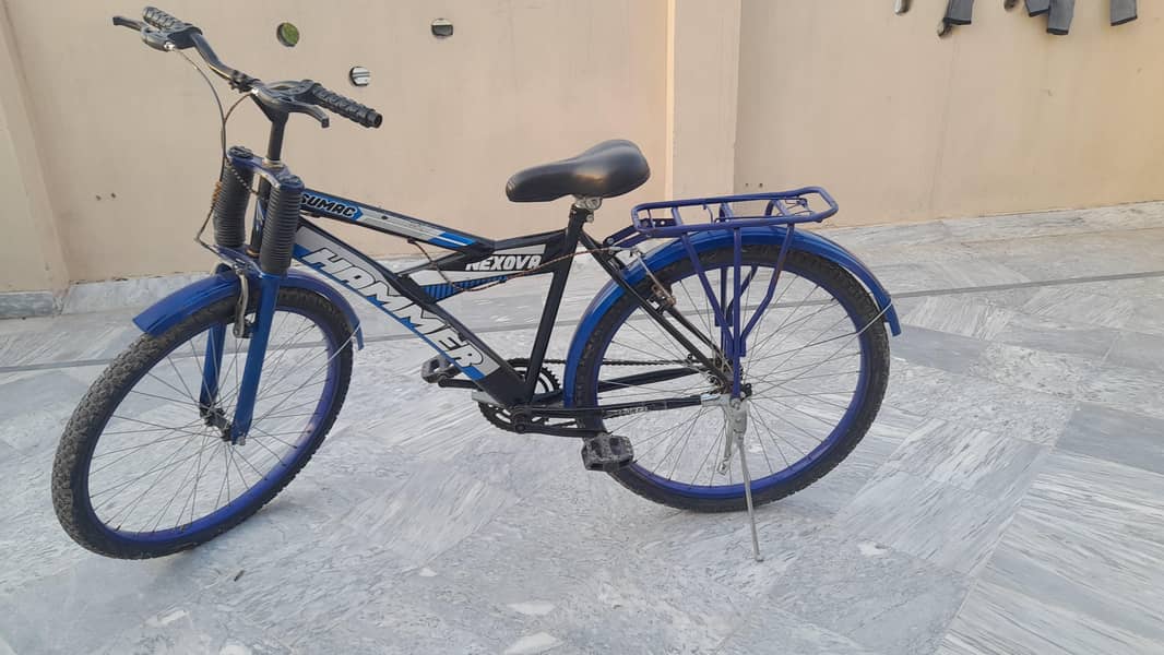 cycle 0