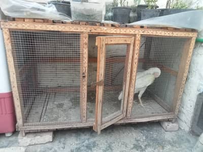 cage for sale