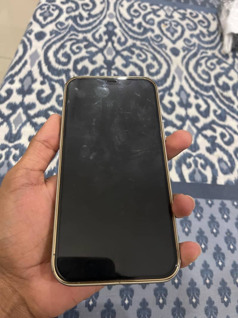 Apple iPhone 12 Pro Max 3