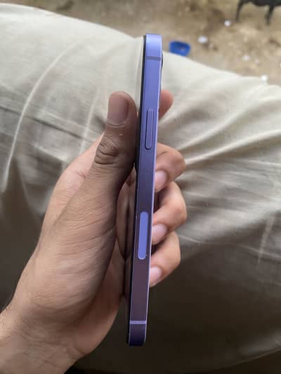 Apple iPhone 12