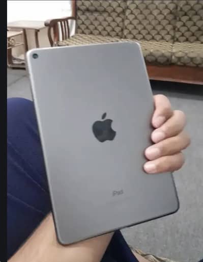 iPad mini 5  64gb