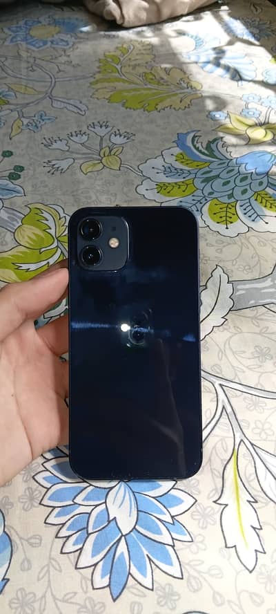 Apple iPhone 12