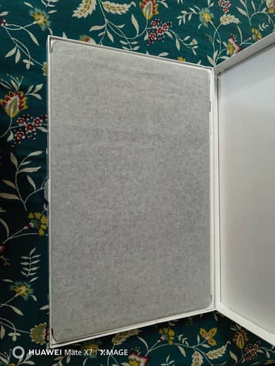 sony PS4 door