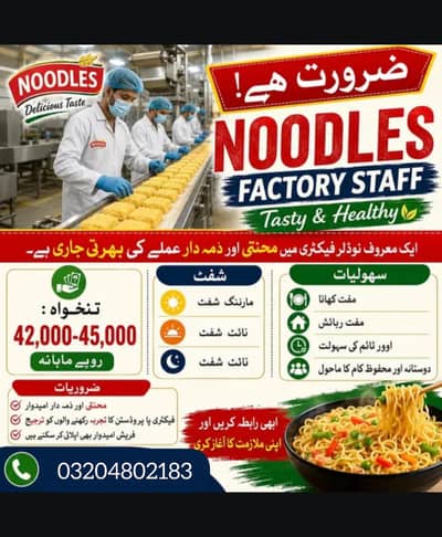 Noodles Factory Staff Required