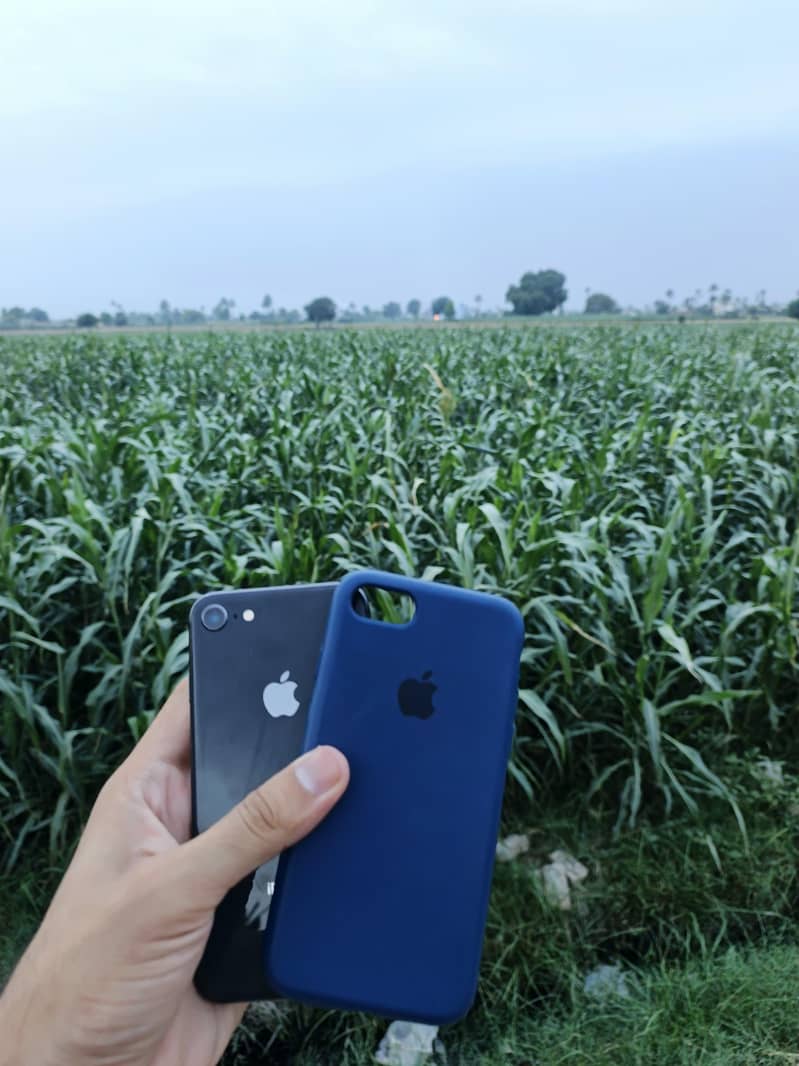 Apple iPhone 8 1