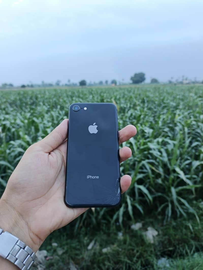 Apple iPhone 8 4