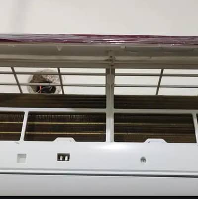 8 month used only in warranty