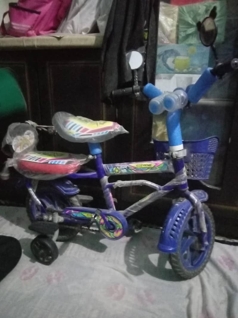 bycycle 1