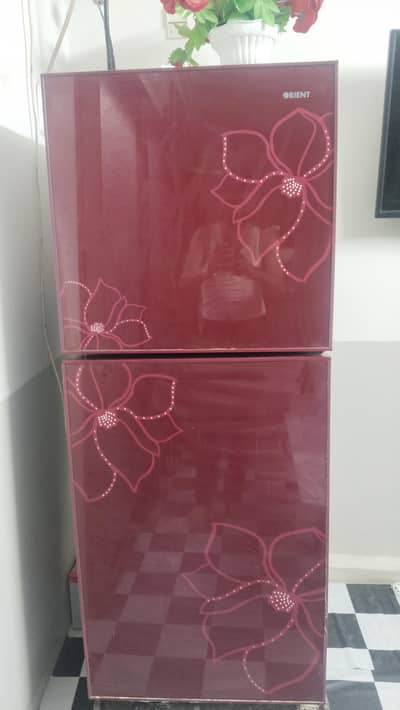 Orient glass door refrigerators