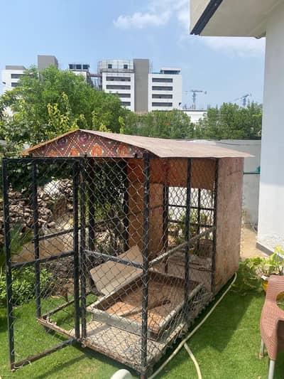 Dog and hen cage 9x5x6