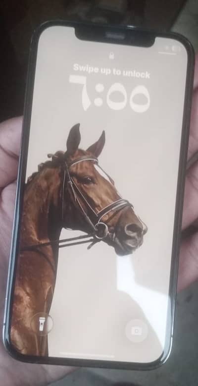 Apple iPhone 12 Pro