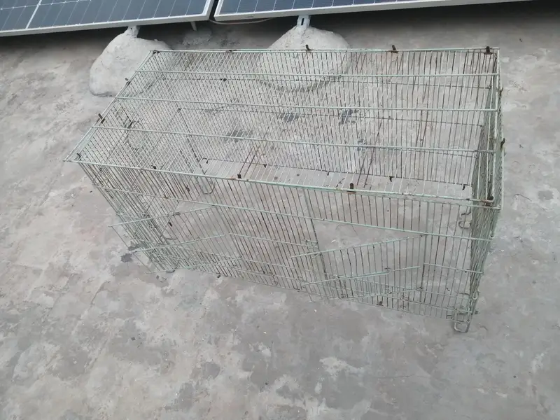 cage 3 feet by 18 inch — photo 4