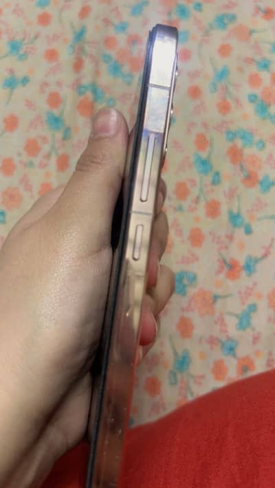 Vivo V23 5G