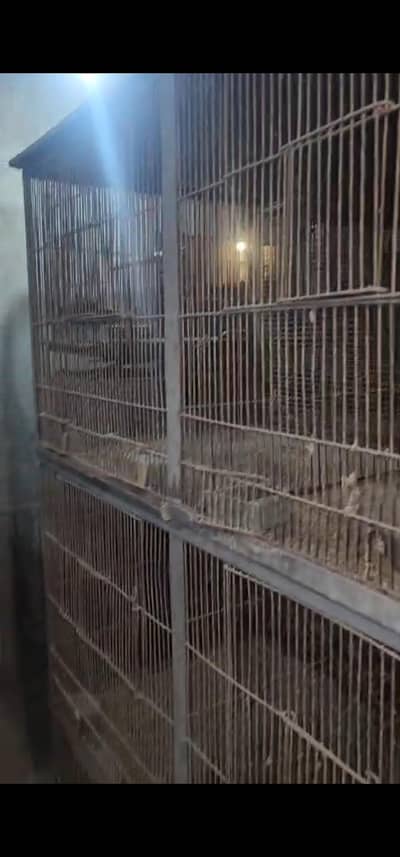 Heavy Cages