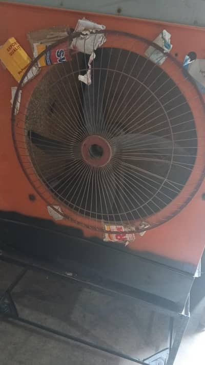 12v collar for sale saply bi Sath ha colar chlny ma ok ha nichy Sy tho