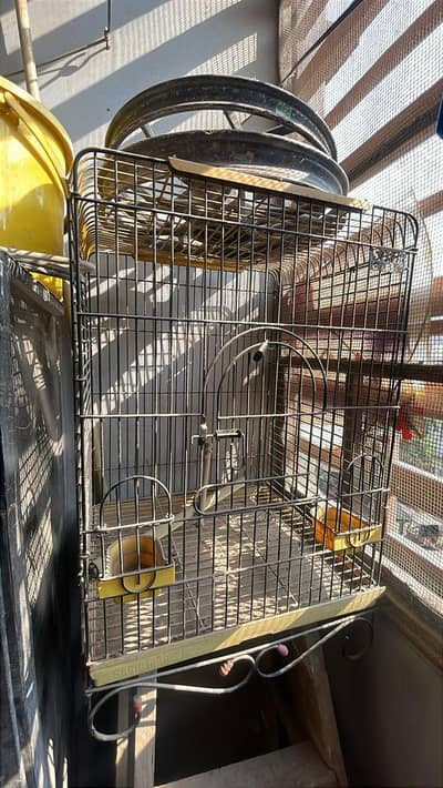 Bird Cage