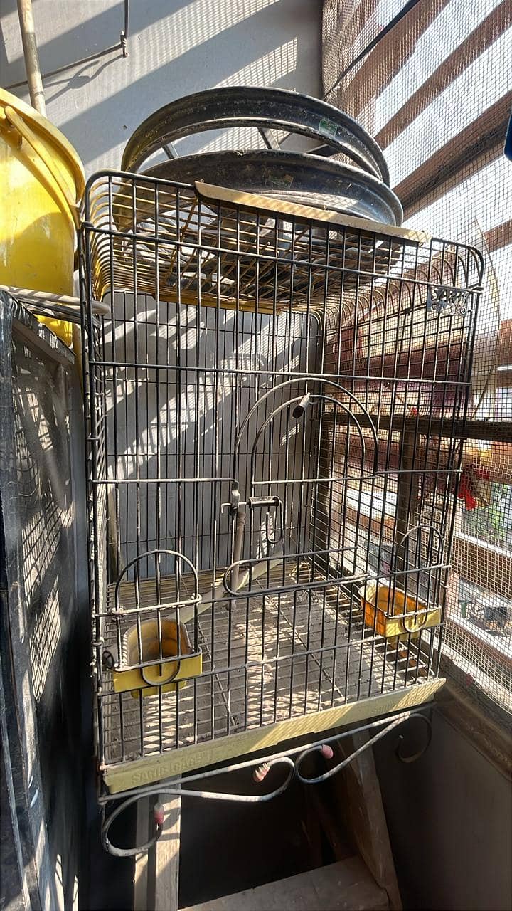 Bird Cage 0