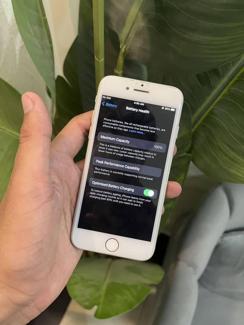 Apple iPhone 7 6