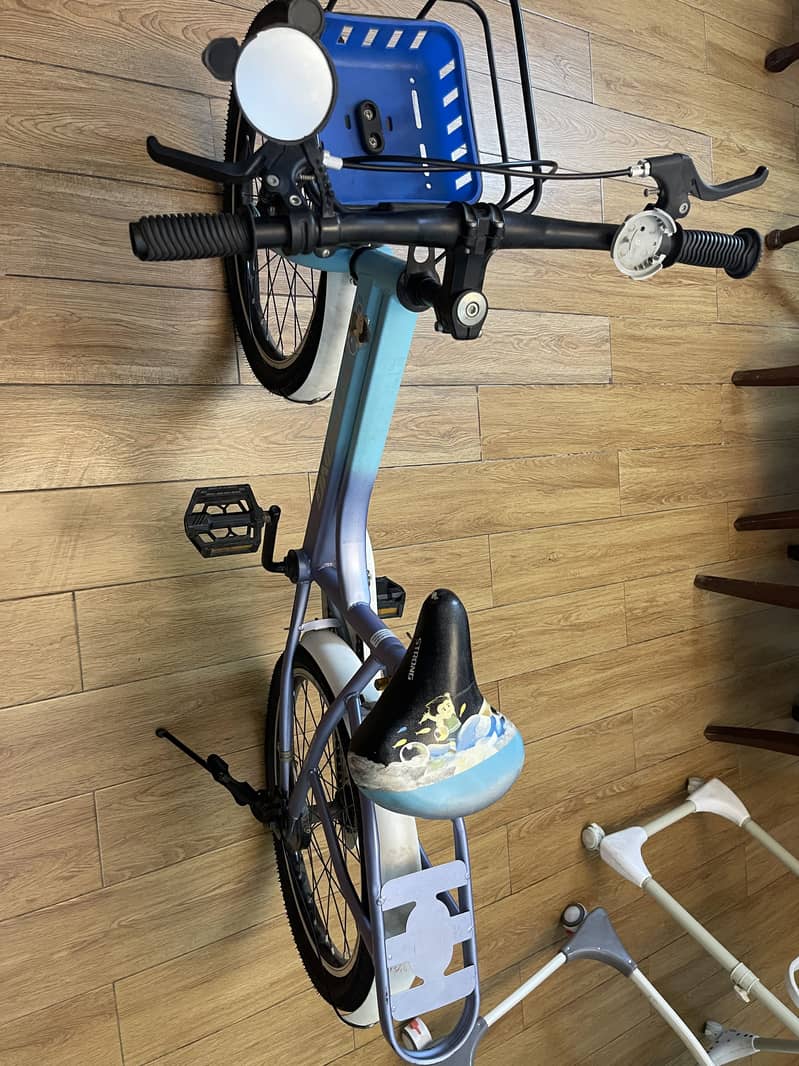Bicycle 0