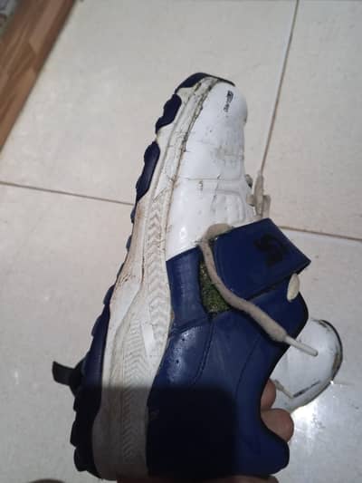 Cricket shoes  grippers