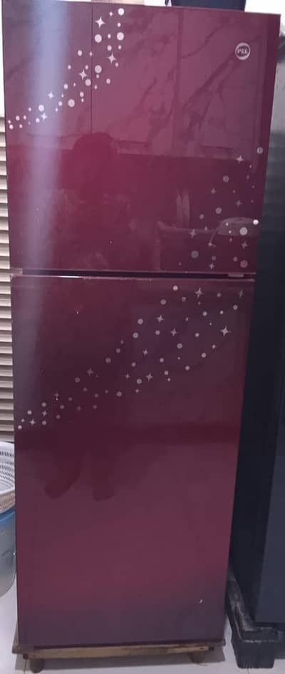 Pel glass Door Fridge
