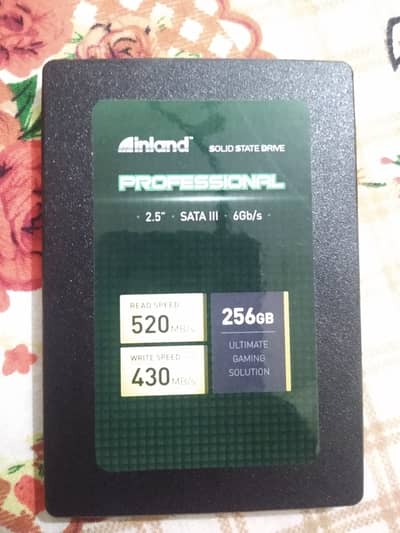 INLAND Professional 256GB SSD