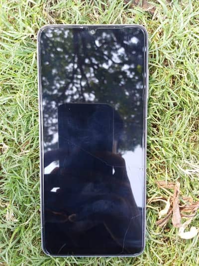 Samsung Mobile A06.03281079209