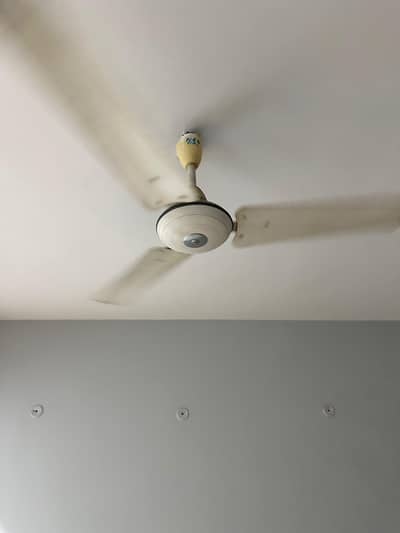 pak fan