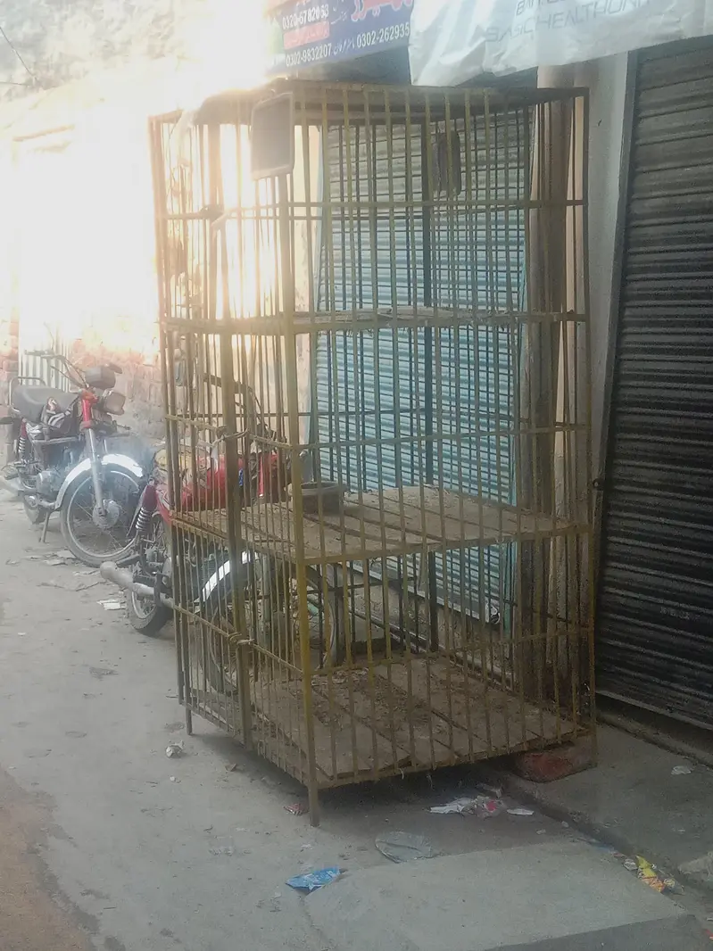 pinjra for sale — photo 3