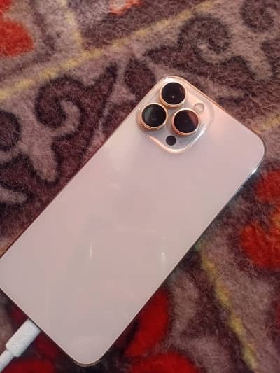 Apple iPhone 13 Pro Max