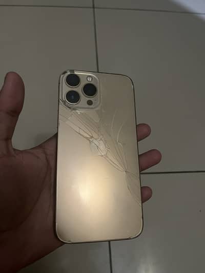 Apple iPhone 13 Pro Max