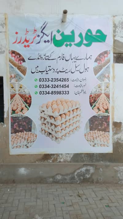 Fresh Farm Eggs