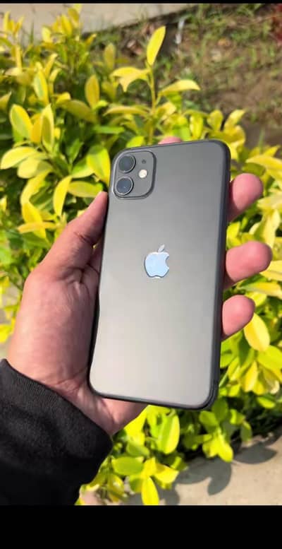 Apple iPhone 11