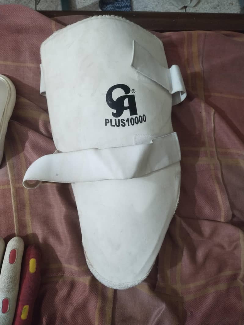 cricket kit 6