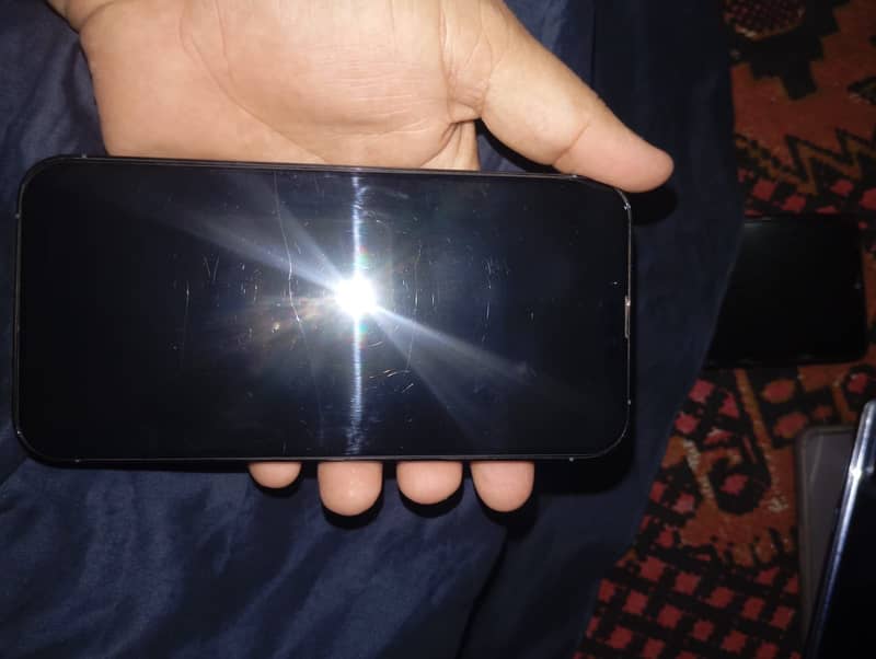Apple iPhone 13 Pro Max 3