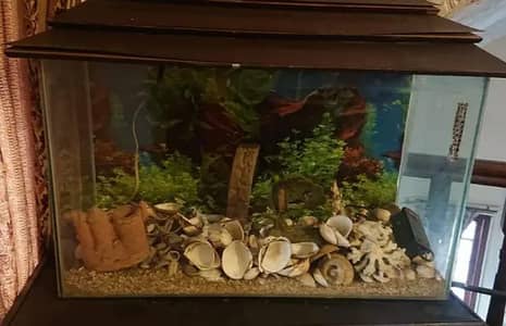 Fish Aquarium Set with Stand